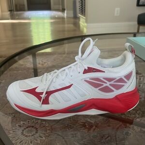 Mizuno Wave Dimension Volleyball shoes.